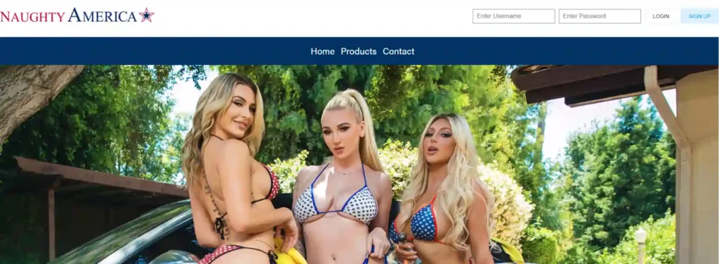 Naughty America VR
