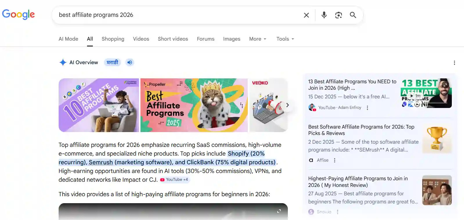 Google AI Overviews